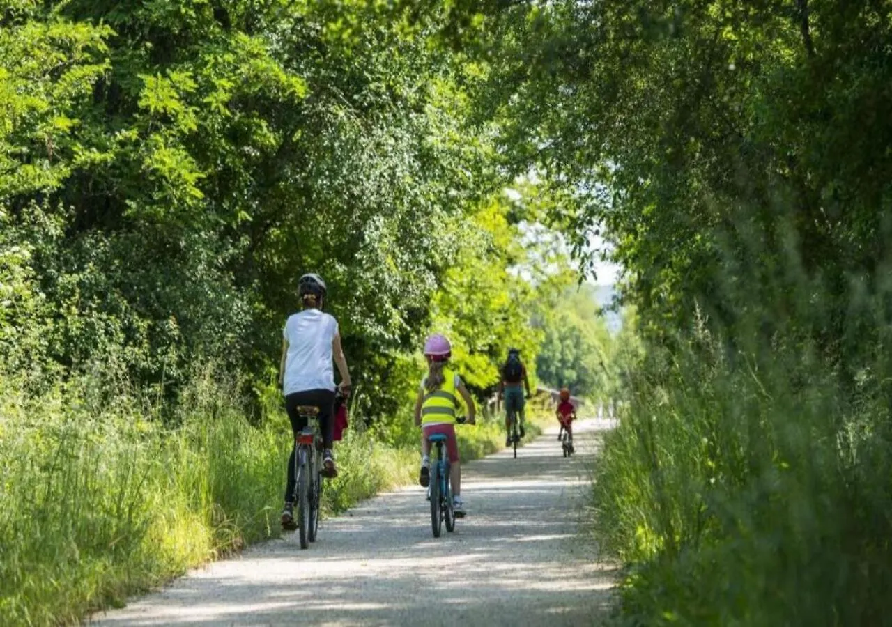 Hébergement de vacances Gite les Oliviers - Le Domaine du Viticulteur - St Maurice d Ibie Saint-Maurice-dʼIbie